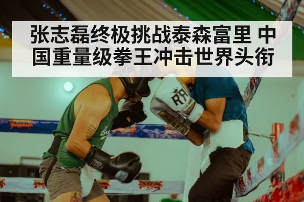 张志磊终极挑战泰森富里 中国重量级拳王冲击世界头衔