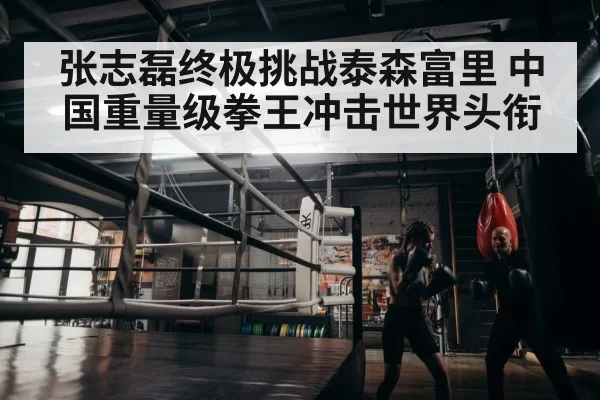 boxer training